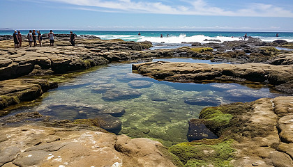 Tidal pools teeming with fascinating marine life and unique rock formations.