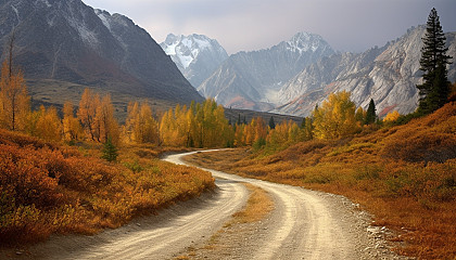 Scenic Routes: Share images of beautiful landscapes, panoramic views, or picturesque locations that are worth taking the longer, scenic route.