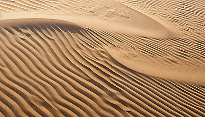 Sand patterns formed by the wind on a deserted beach.