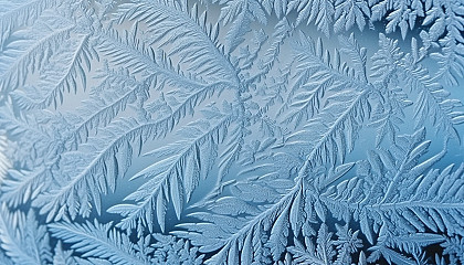 Frost patterns creating intricate designs on a windowpane.