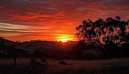 Picturesque sunrises or sunsets casting warm hues across the sky and landscape.