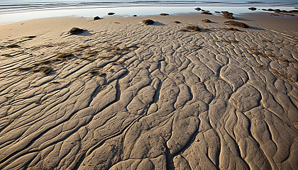 Sand patterns left by the receding tide on a beach.