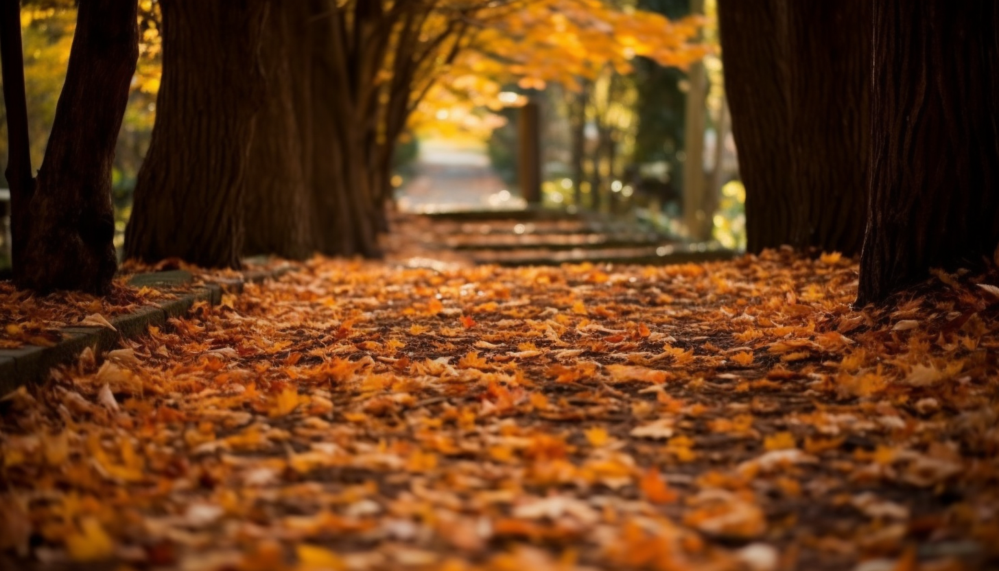 A leafy path carpeted with fallen autumn leaves.