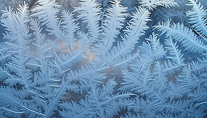 Patterns of frost on a window on a winter morning.