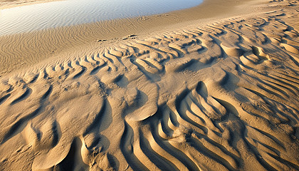 Sand patterns left by the retreating tide on a beach.