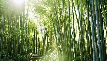 A dense bamboo forest swaying in the breeze.