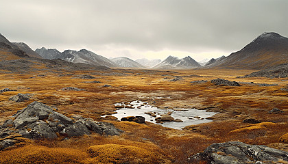 The stark beauty of a barren tundra.