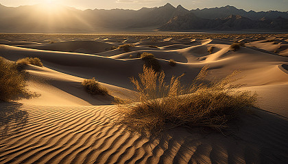 Windswept sand dunes shaping a mesmerizing desert scene.