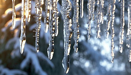 Crystalline icicles hanging from a snow-covered pine.