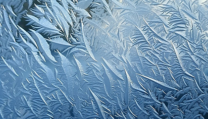 A delicate frost pattern on a windowpane.