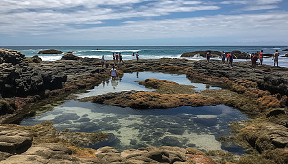 Tidal pools teeming with fascinating marine life and unique rock formations.