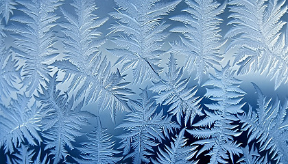 The intricate design of a frost pattern on a window.