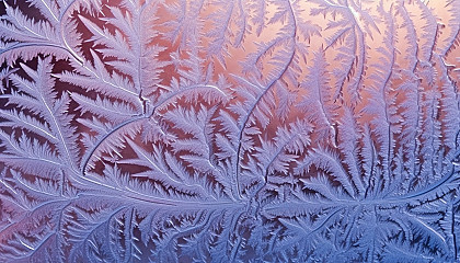 Intricate frost patterns on a window during a chilly winter morning.