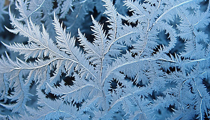 A delicate frost pattern on a window in winter.