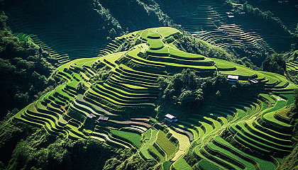 A series of terraced, rice paddies climbing a mountain slope.