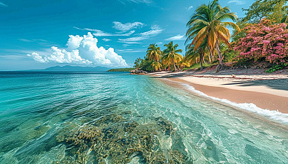 Lively tropical beach scene at midday with crystal-clear waters, white sandy shores, palm trees swaying in the breeze, and a colorful coral reef visible in the shallow water.